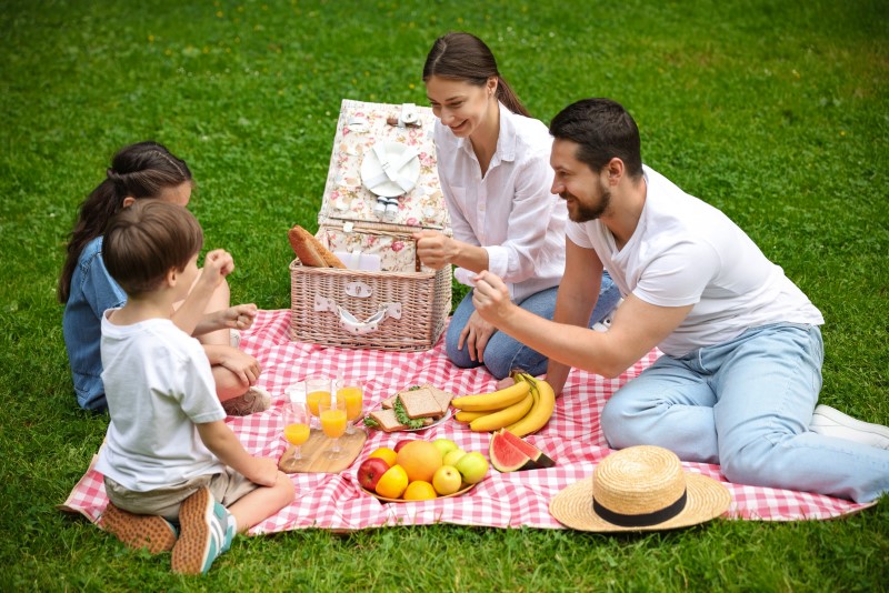Family picnic